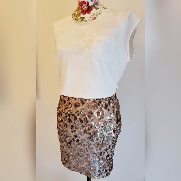 Joie Sequin Nude Tonal Mini Skirt $428 - Picture 12 of 13